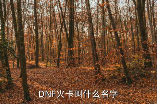 DNF火卡叫什么名字