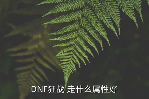 DNF狂战 走什么属性好