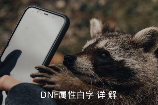 DNF属性白字 详 解