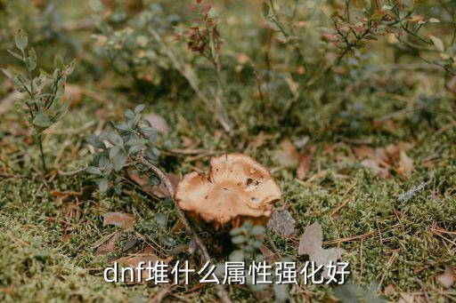 dnf堆什么属性强化好