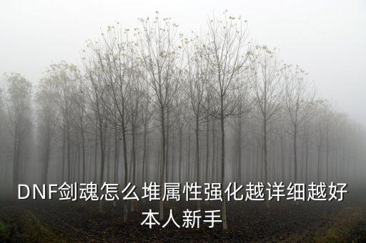 DNF剑魂怎么堆属性强化越详细越好本人新手