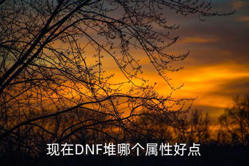 现在DNF堆哪个属性好点