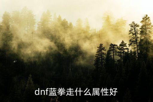 dnf蓝拳走什么属性好