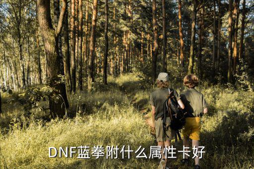 DNF蓝拳附什么属性卡好