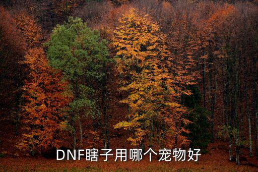 DNF瞎子用哪个宠物好