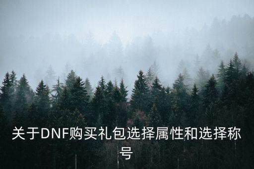 关于DNF购买礼包选择属性和选择称号