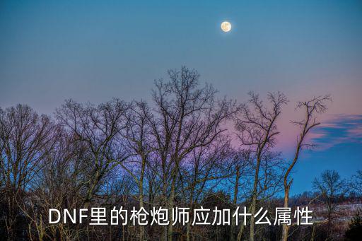 DNF里的枪炮师应加什么属性