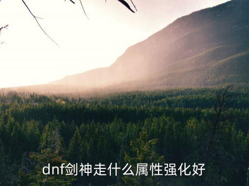 dnf剑神走什么属性强化好