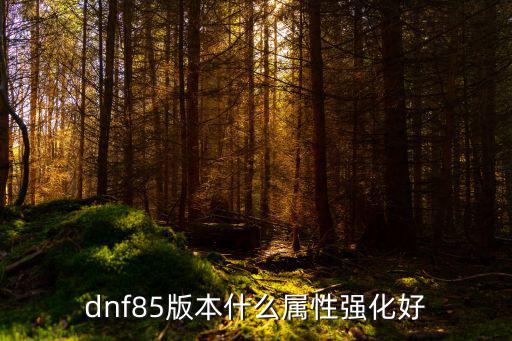 dnf85版本什么属性强化好