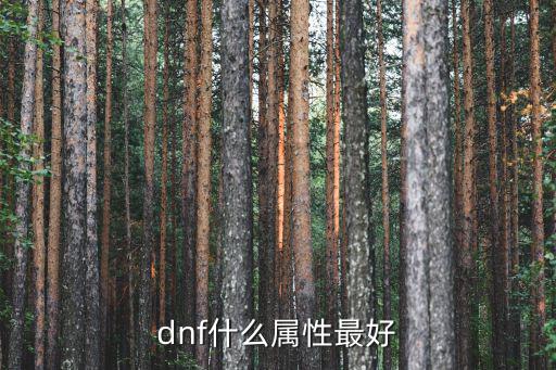 dnf什么属性最好