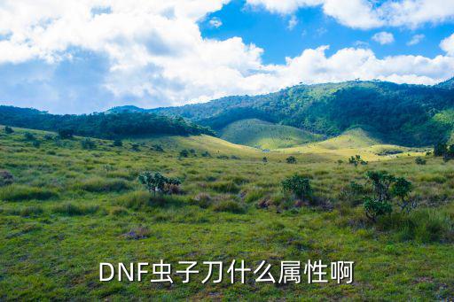 DNF虫子刀什么属性啊