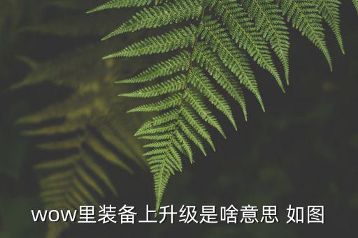 游戏装备升级界面设计是什么，wow里装备上升级是啥意思 如图