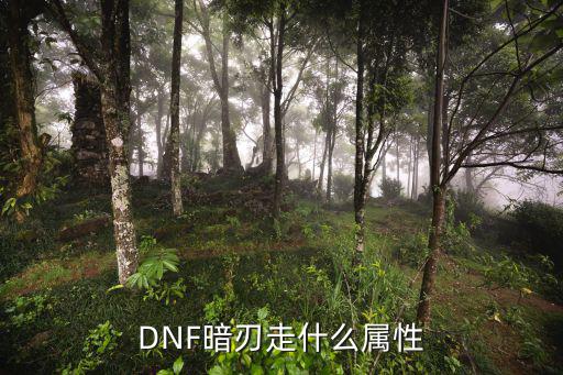 dnf暗刃带什么属性称号，DNF暗刃加什么属性