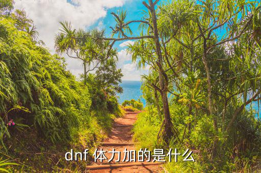 dnf 体力加的是什么