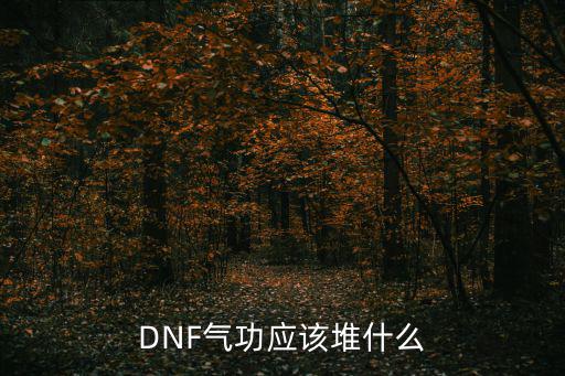 DNF气功应该堆什么