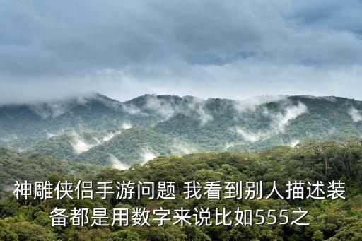 神雕侠侣手游问题 我看到别人描述装备都是用数字来说比如555之