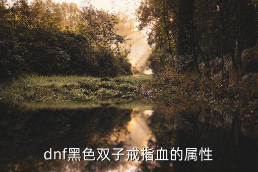 dnf黑色双子戒指血的属性