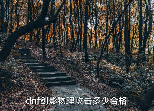 dnf剑影物理攻击多少合格