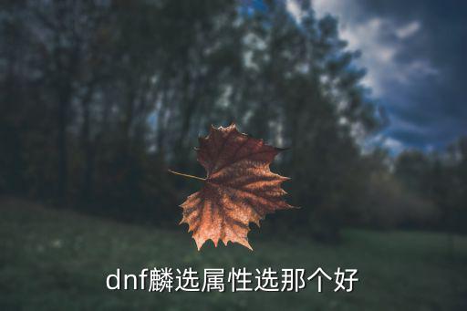 dnf麟选属性选那个好