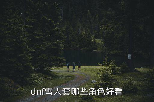 dnf雪人套哪些角色好看