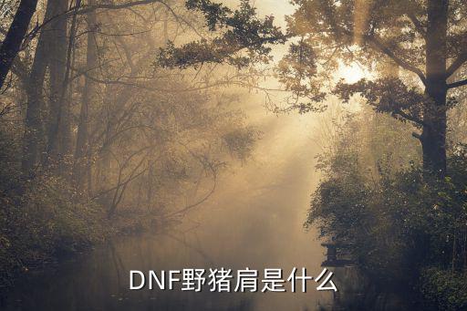 DNF野猪肩是什么