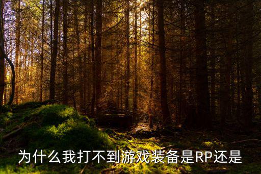 为什么我打不到游戏装备是RP还是