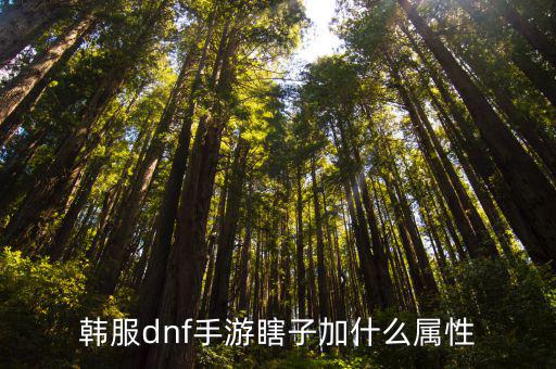 韩服dnf手游瞎子加什么属性