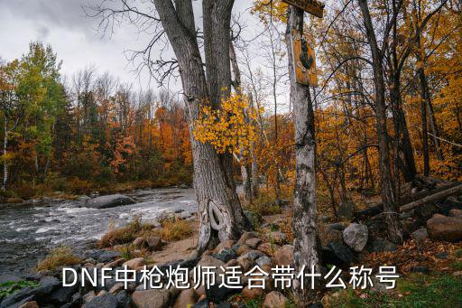 DNF中枪炮师适合带什么称号