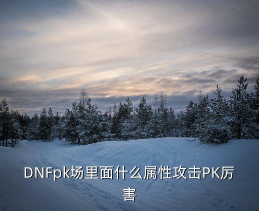 DNFpk场里面什么属性攻击PK厉害