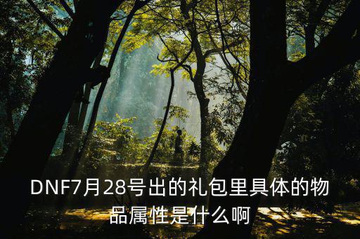 DNF7月28号出的礼包里具体的物品属性是什么啊