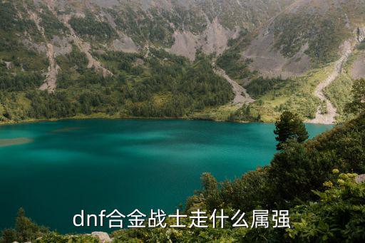 dnf合金战士走什么属强