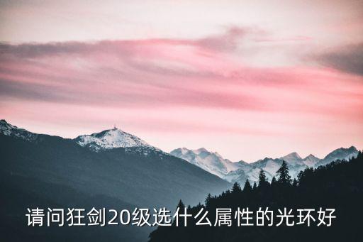 请问狂剑20级选什么属性的光环好