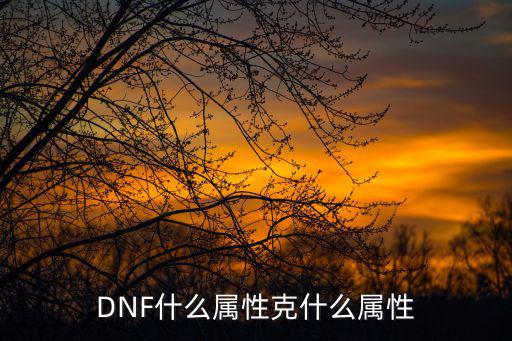 DNF什么属性克什么属性