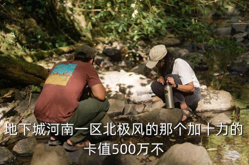 地下城河南一区北极风的那个加十力的卡值500万不