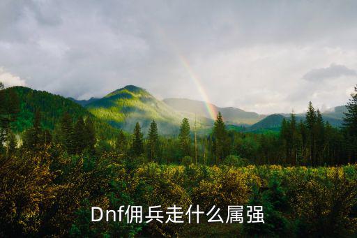 dnf佣兵加什么属性，Dnf佣兵走什么属强