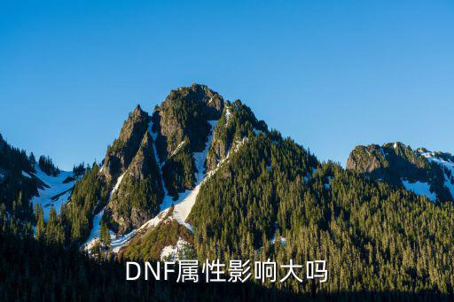 DNF属性影响大吗