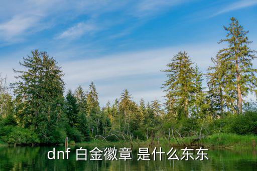 dnf 白金徽章 是什么东东