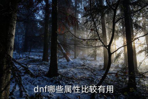 现在dnf什么属性好，dnf哪些属性比较有用