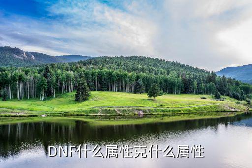 DNF什么属性克什么属性