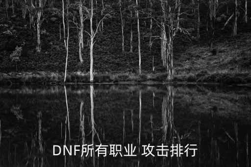 DNF所有职业 攻击排行