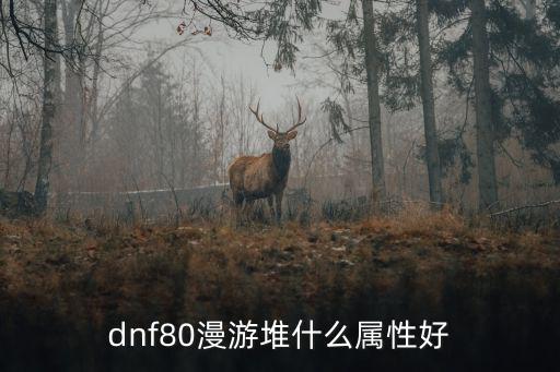 dnf80漫游堆什么属性好