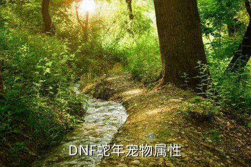 DNF蛇年宠物属性