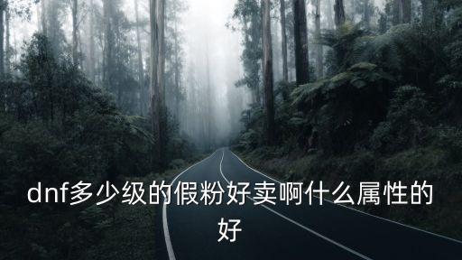 dnf多少级的假粉好卖啊什么属性的好