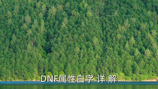 什么是白属性dnf，DNF属性白字 详 解