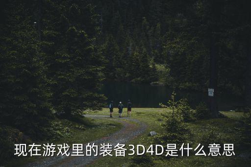 游戏装备的解释是什么意思，现在游戏里的装备3D4D是什么意思