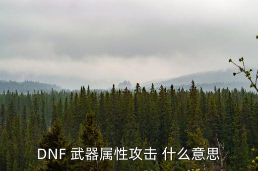 DNF 武器属性攻击 什么意思