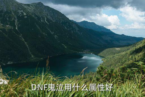 DNF鬼泣用什么属性好