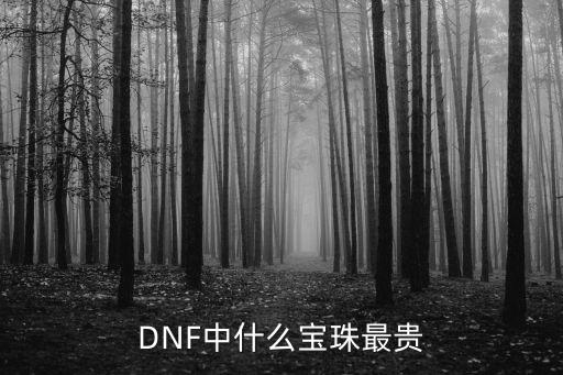 dnf什么属性宝珠最贵，DNF中谁的宝珠最值钱值多少