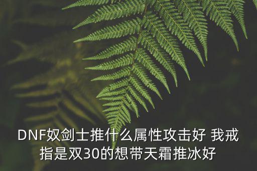 DNF奴剑士推什么属性攻击好 我戒指是双30的想带天霜推冰好