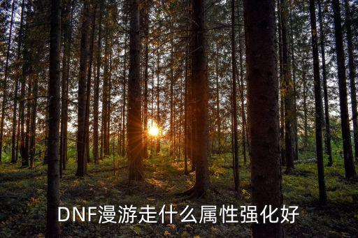 DNF漫游走什么属性强化好